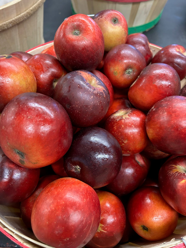 Arkansas Black Apple