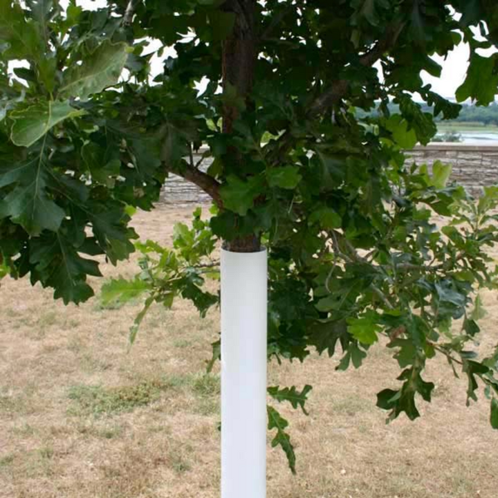 Plantra Solid Wall Tree Bark Guard (Pack of 10)