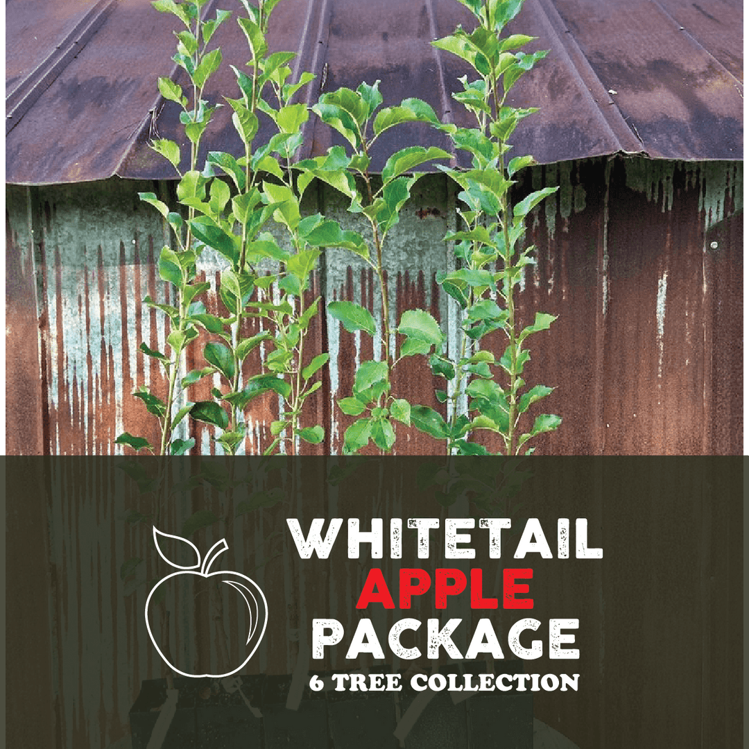 Whitetail Apple Package